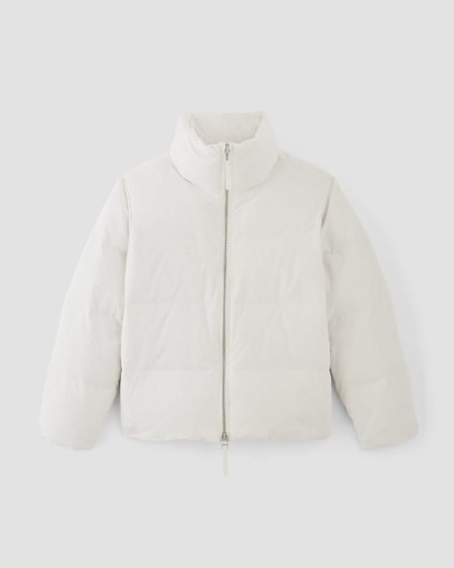 Alternative view of The Puffer Bomber | Bone