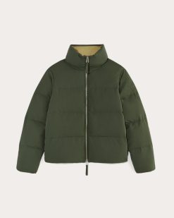 Alternative view of The Puffer Bomber | Dark Forest